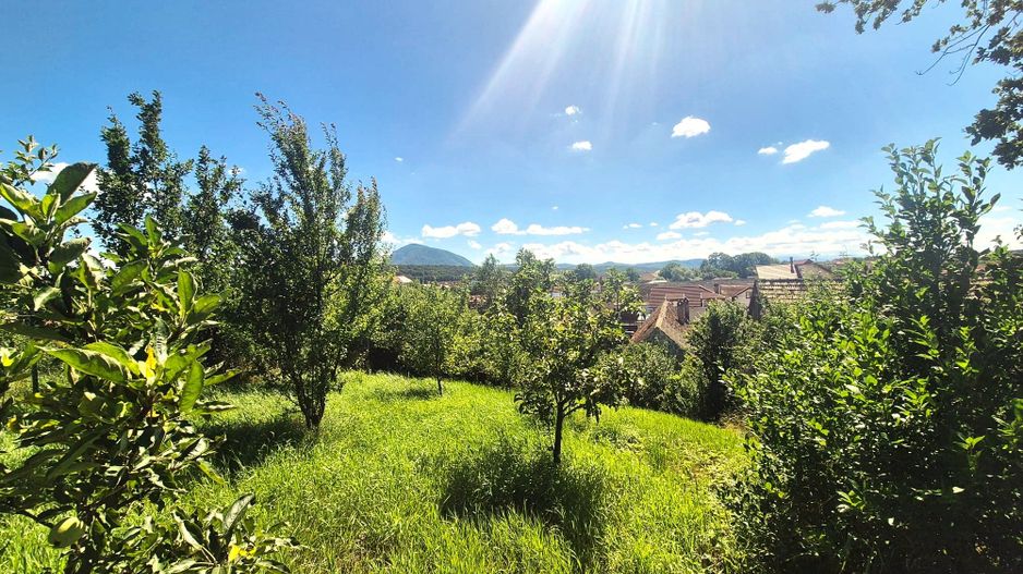 Casă cu grădină în Dumbrăvița – la doar 25 km de Brașov - Poză 2