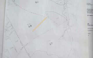 Teren investițional 1 ha, platou, în Proselnici, Miroslava (Iași) - Poză 1