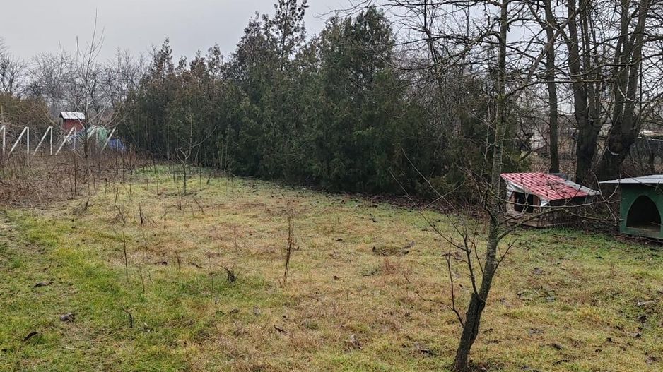 Teren 2.600 mp, utilități, Str. Merișor – Giurgiu - Poză 5