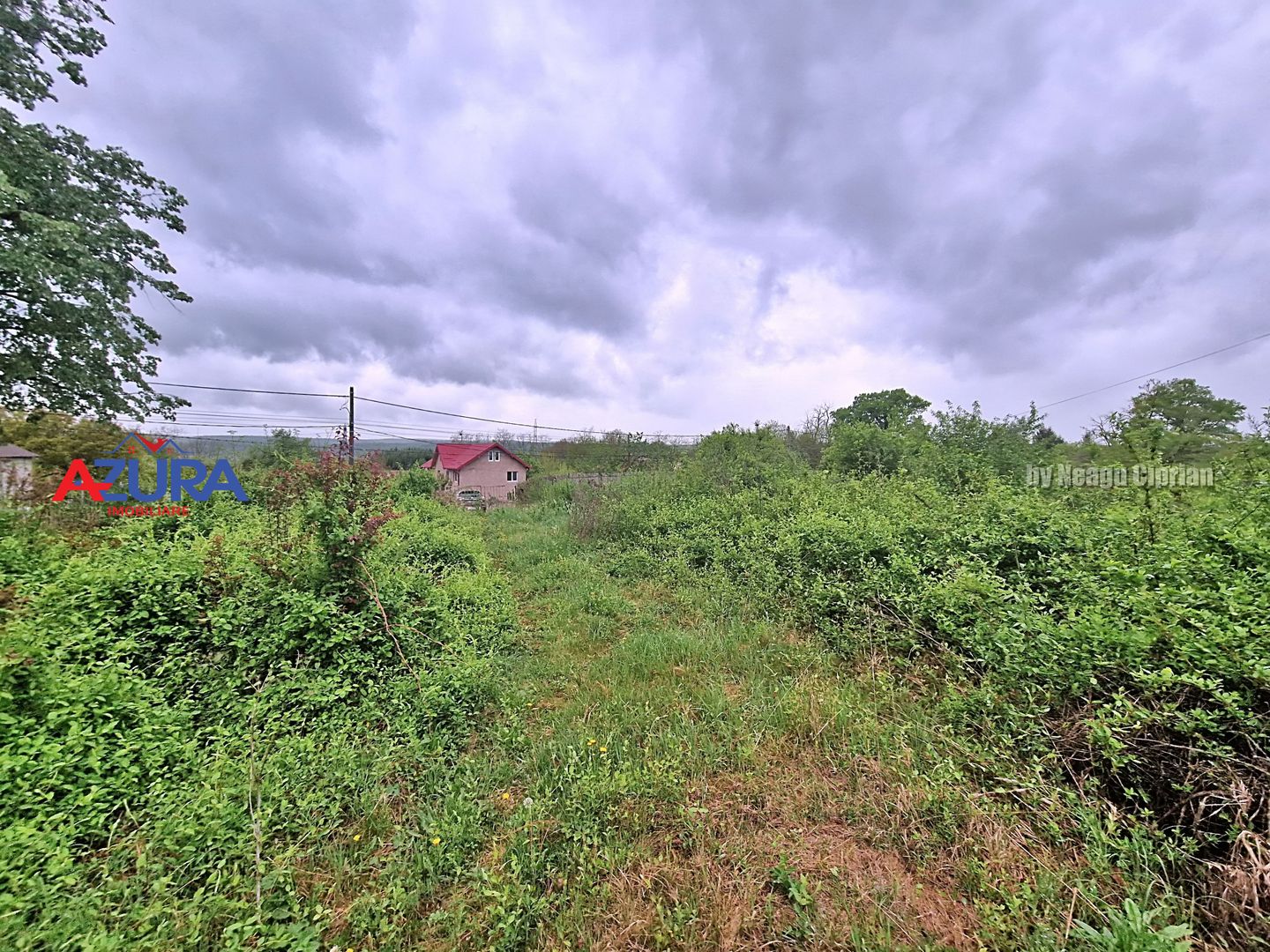AZURA Imobiliare - Teren Budeasa Galasesti - Poză 5