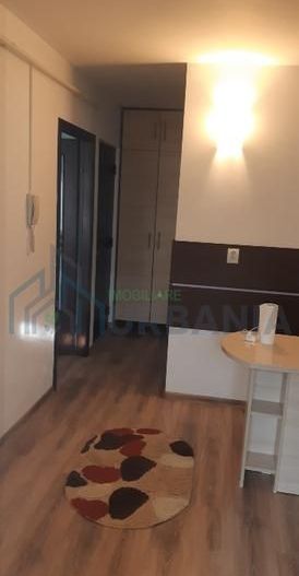 Închiriez apartament cu o cameră in Nicolina - Poză 8
