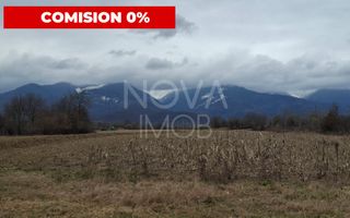 Teren extravilan de vanzare - Arpasul de Sus - Poză 1
