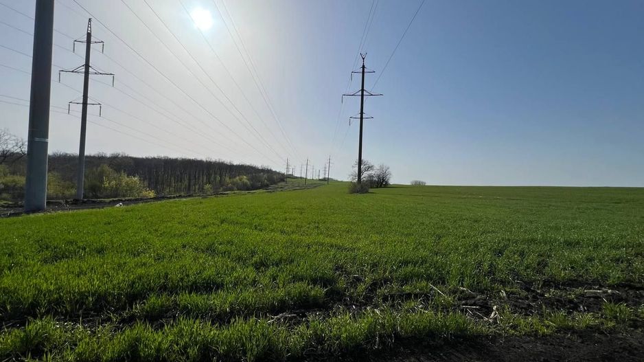 Teren 41,49 ari Ghidighici | deschidere 122 m | agricol | investiție - Poză 11
