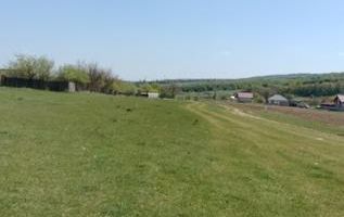 Teren extravilan 7.200 mp, Bordea - Grajduri, oportunitate investiție - Poză 2