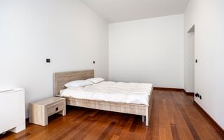 Penthouse, Jean Monnet Residence - Poză 12