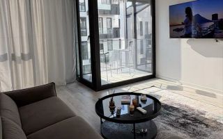 Apartament 2 camere de inchiriat Herastrau WIN - Poză 2