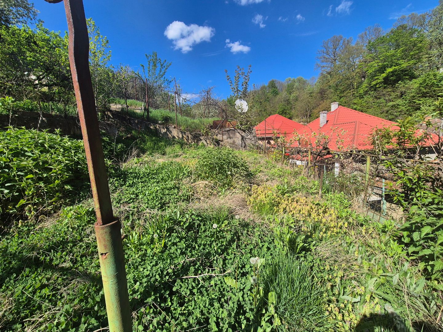 Casa langa Gradina Zoologica - Poză 9