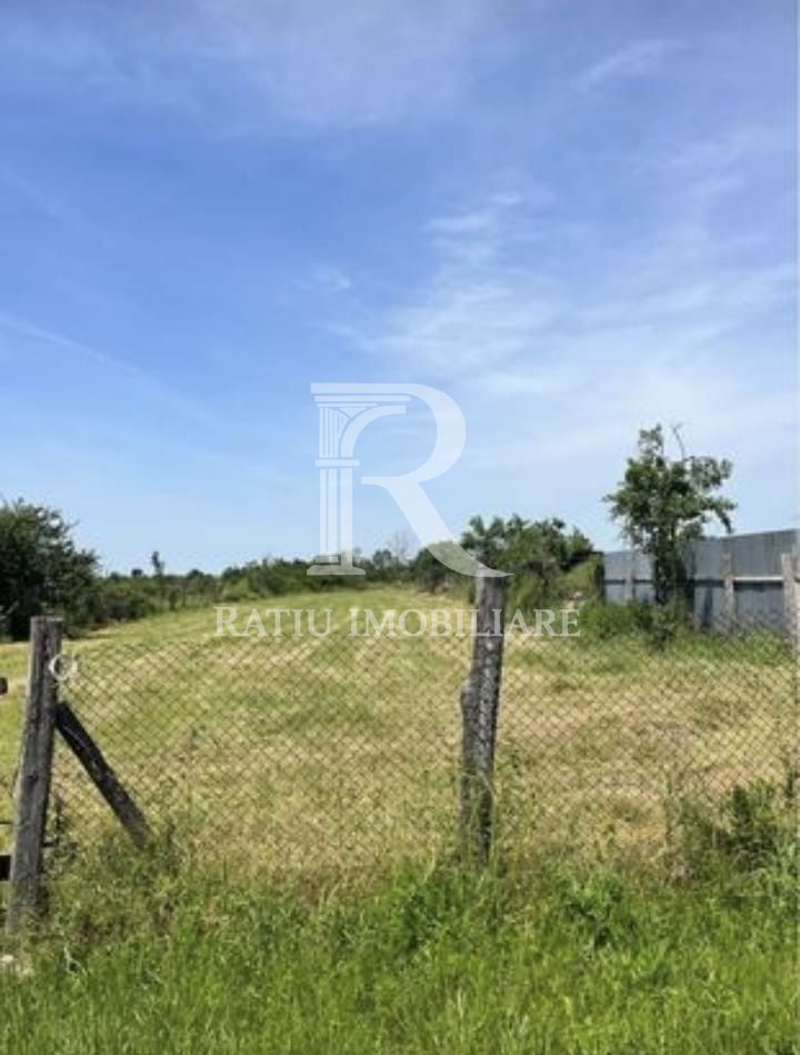 Teren cu proiect de casa | Sititelec | Bihor - Poză 4