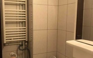 Apartament 2 camere, , etaj 2 Ana Ipatescu,Sagului - Poză 2