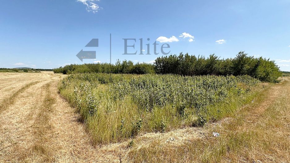 Teren intravilan 1114 mp Sanmartin - Poză 5