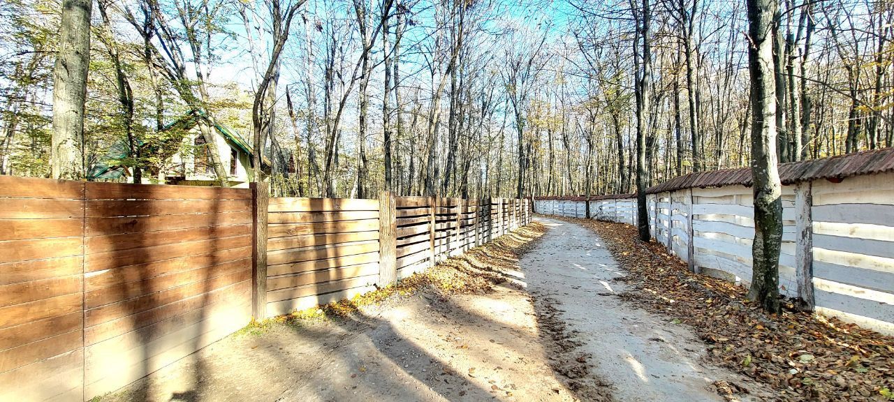 50 ari de Teren forestier si de recreere in Codri!! - Poză 4