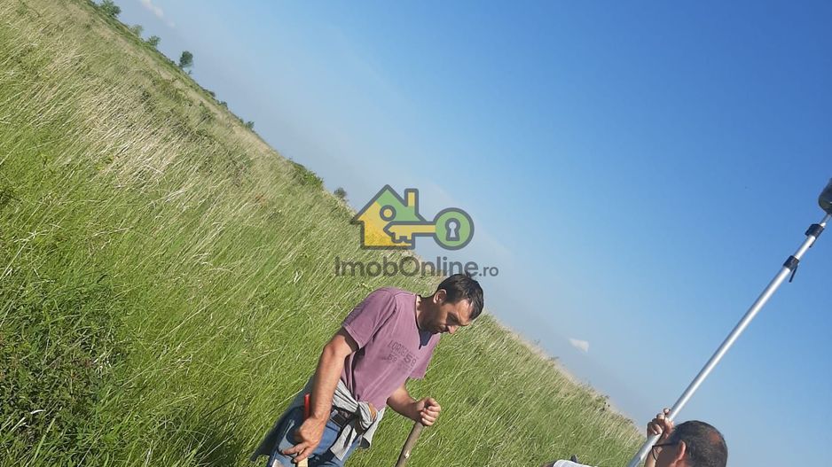 Teren Extravilan, Dealu Viilor, Lugoj - Poză 2