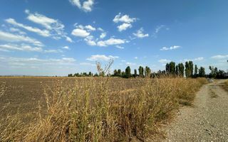 Teren extravilan de vanzare | 9882mp | Berceni - Prahova | Comision 0% - Poză 8