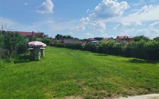 Inchiriere hala depozitare si teren, Labusesti - Poză 7