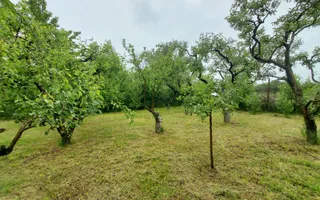 Casa | 1331 mp Teren | Miercurea Sibiului | - Poză 12
