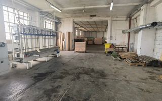 Proprietate industriala la 30 km exterior sud Timisoara - Poză 16