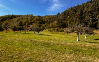 Teren Moieciu 8206 mp - Oportunitate de investitie - Poză 11