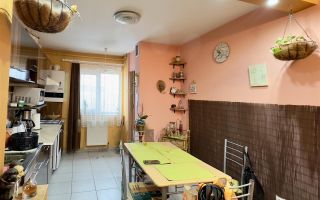Apartament cu 3 camere, etaj intermediar, zona Dunarii - Poză 2
