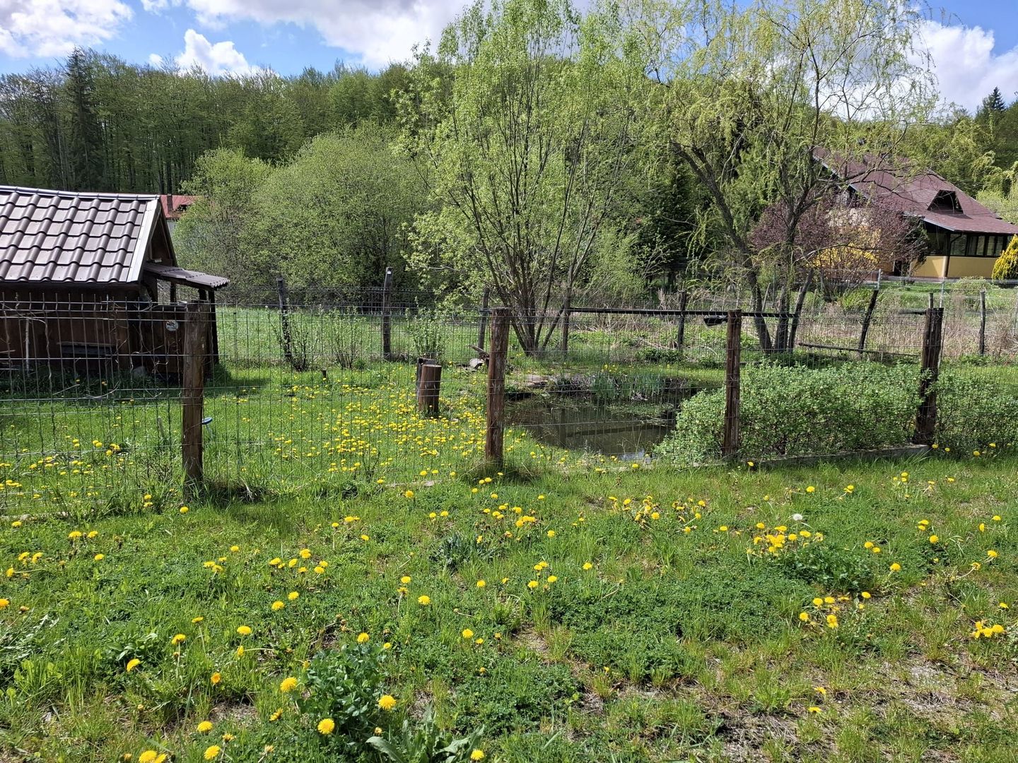 URGENT!, vila de exceptie, concept ultramodern, NELOCUITA, NEGOCIABIL - Poză 7
