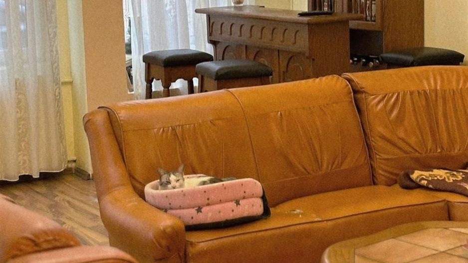 Casa 6 camere cartier Iosia - Poză 12