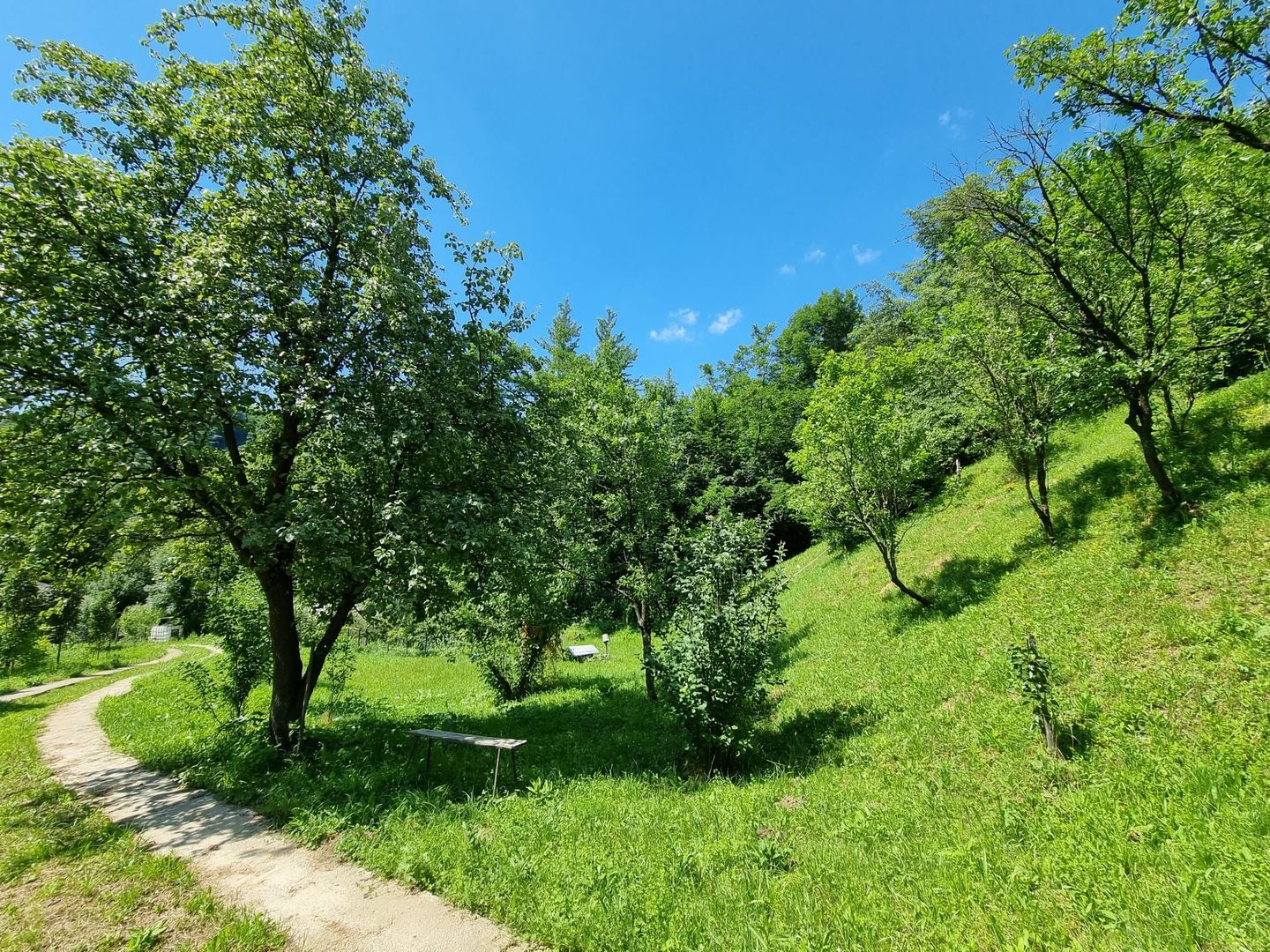 Casa de la marginea padurii! - Poză 10