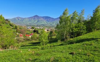 Teren extravilan de vanzare, Bistrita Bargaului- 10 minute de Colibita - Poză 20