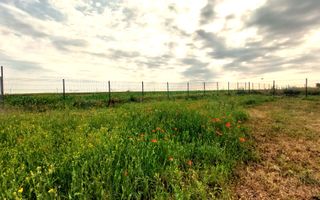 Duplex vanzare in Darvari, Calarasi, format din 2 unitati locative. - Poză 11