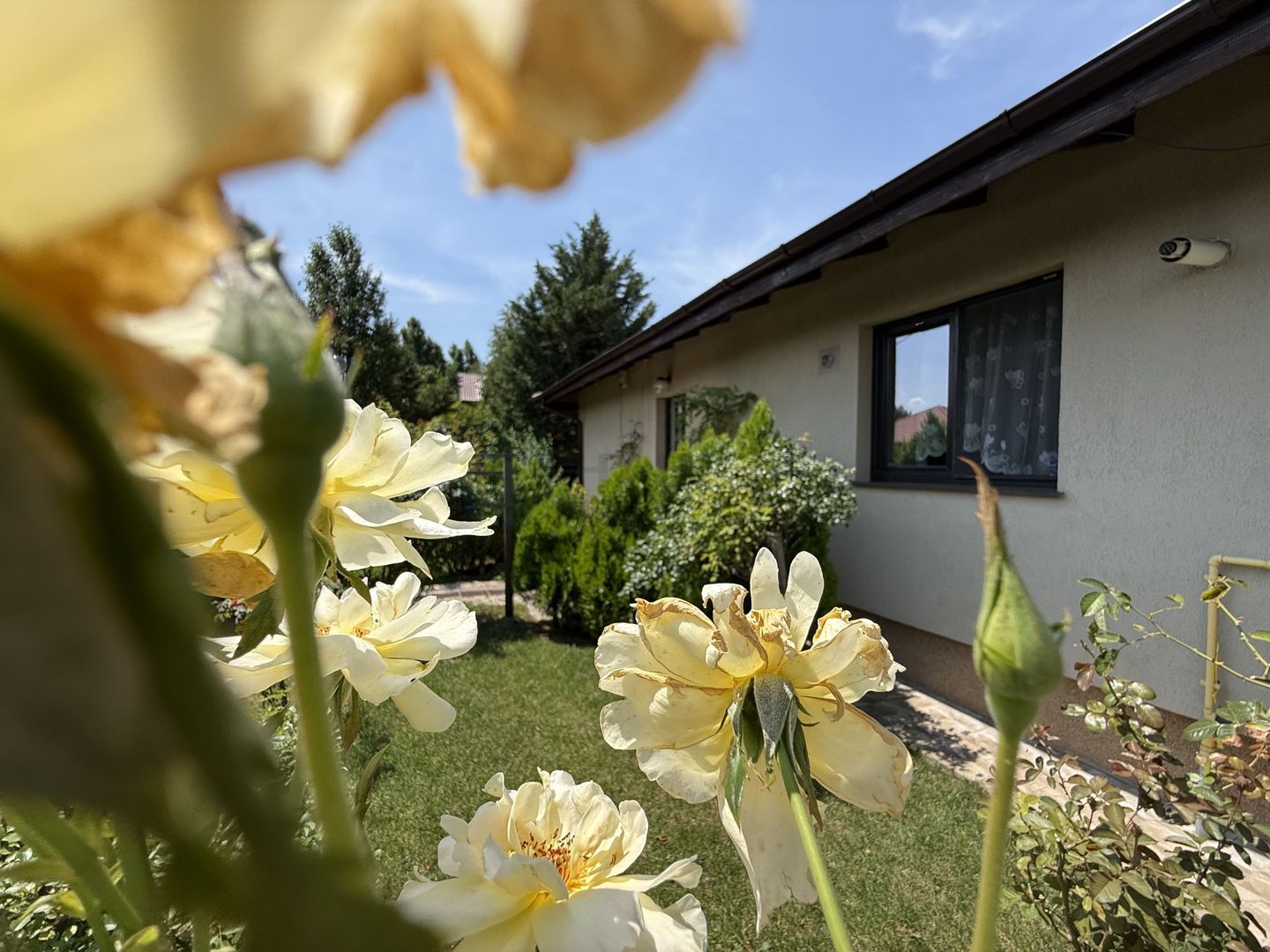Casa pe parter Balotesti | Teren 600 mp - Poză 1