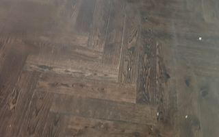 Casa Horodnic | 60 Ari | Strada Principal - Poză 12