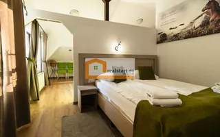 Oportunitate, Restaurant cu MiniPensiune 800mp, 1,8ha teren, Via Transilvanica - Poză 13