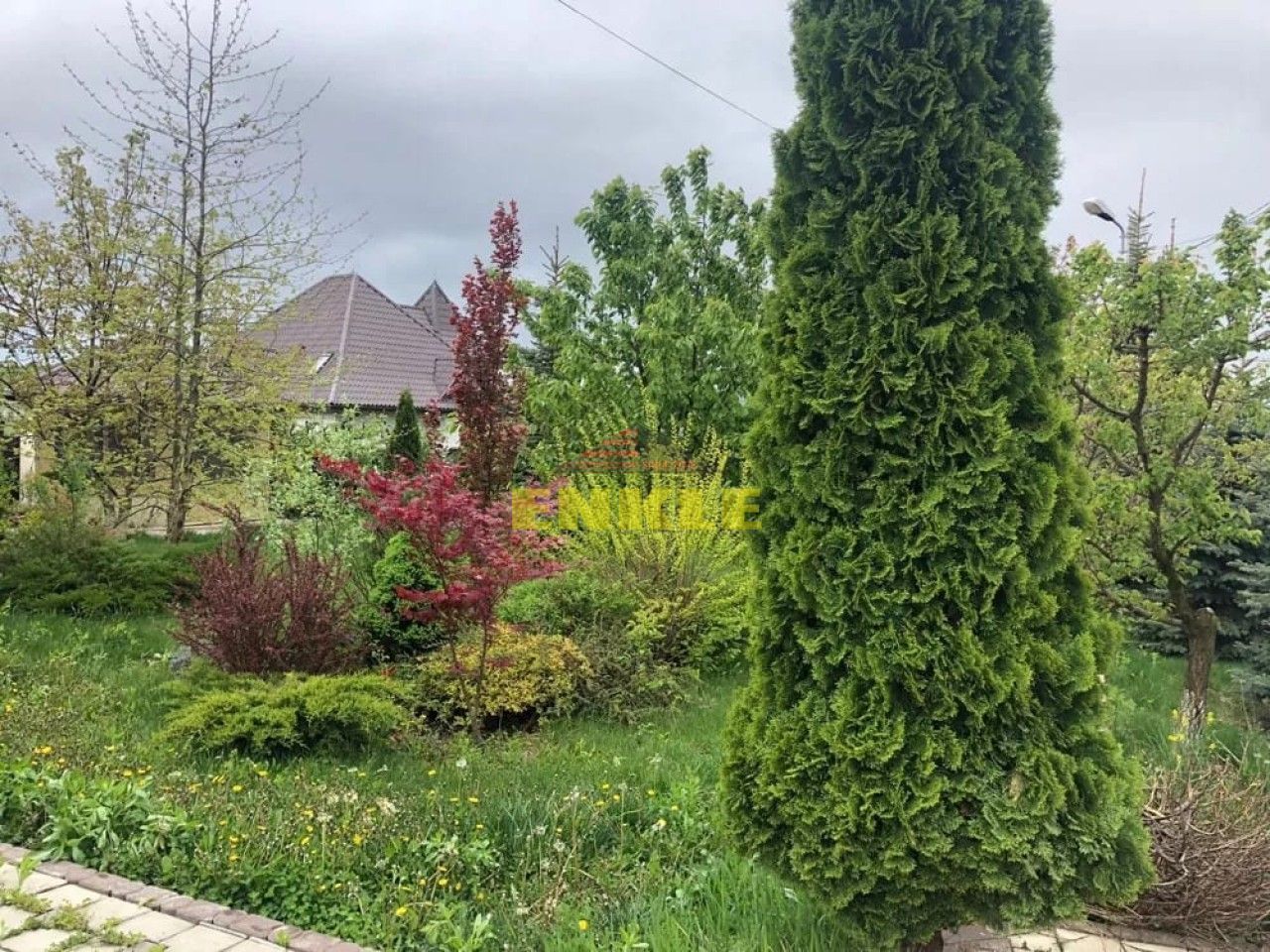 Vila 5 camere, Lebada - Poză 6