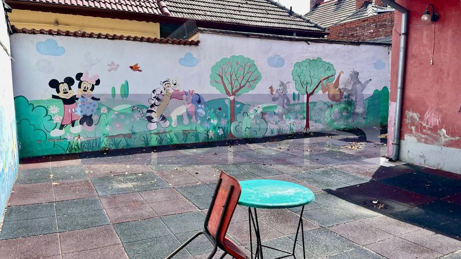 VANZARE VILA INTERBELICA VATRA LUMINOASA NECESITA RENOVARE CURTE PROPRIE - Poză 14