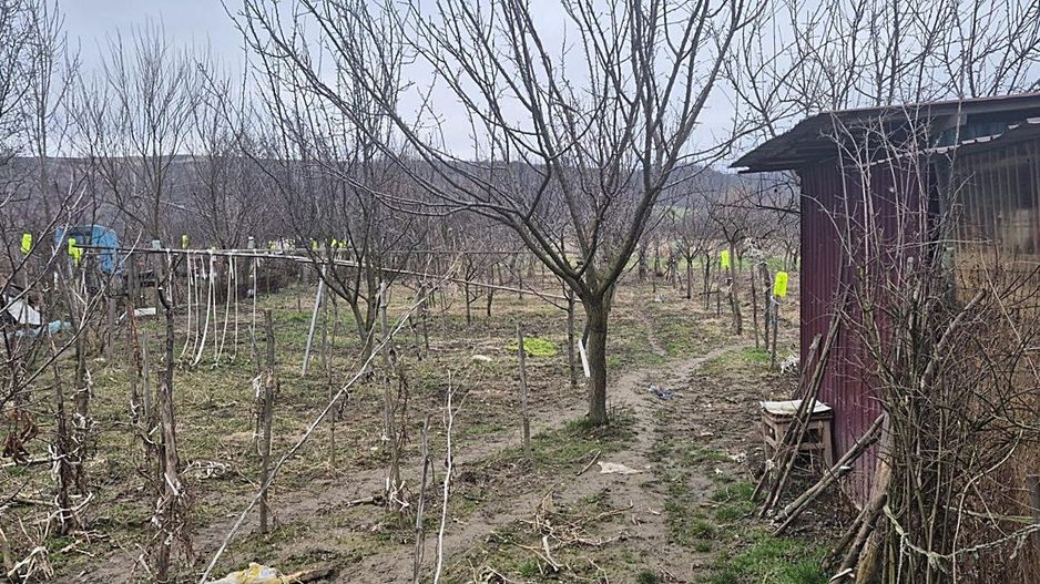 Casa cu teren 4000 mp in Bogei, Bihor - Poză 5
