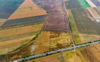 Teren de 19798mp în Zimandu Nou - Poză 4