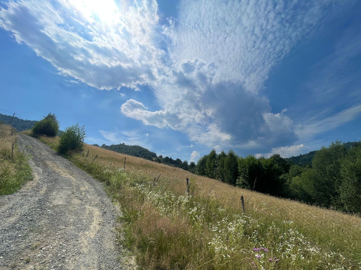 Teren intravilan I Loc deosebit, inconjurat de padure I Vladeasa - Poză 1