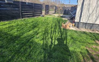 🏡   CASĂ PLAN PARTER  Mobilată  Complet  - Lunca Cetățuii |  🏡 - Poză 11