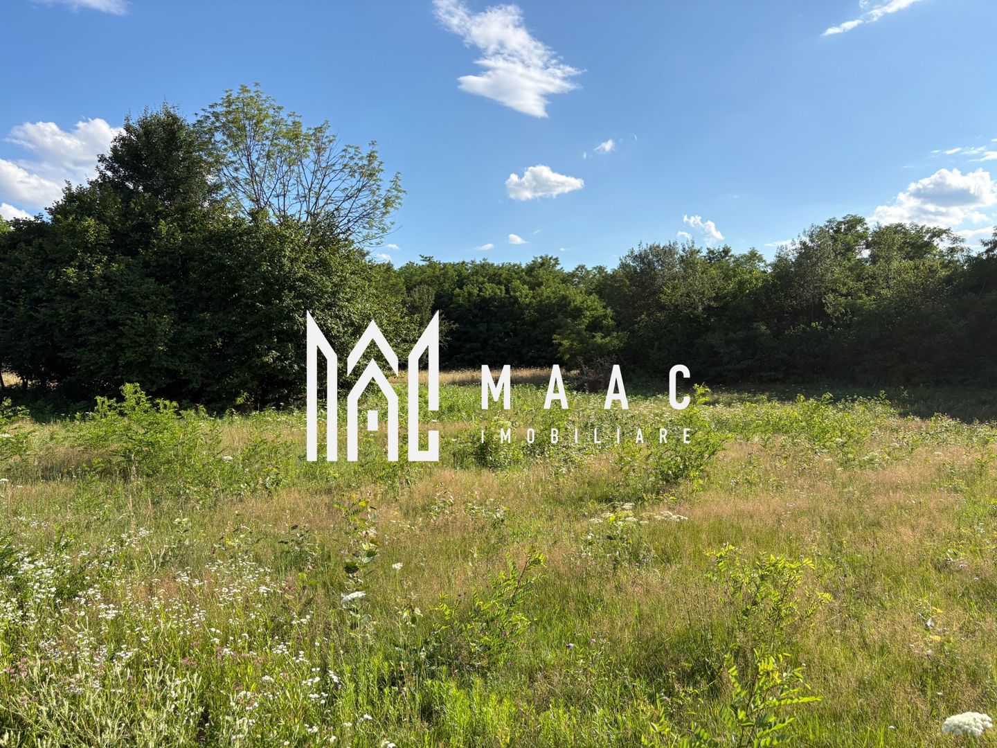 Teren intravilan 1100 mp | Valea Avrigului, Avrig | 21 m deschidere - Poză 2