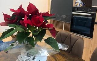 Apartament modern 2 camere  Marmura Residence I Gradina proprie - Poză 17