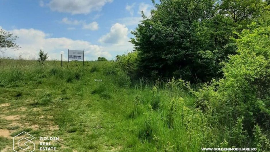 Teren intravilan 2880 mp, DJ 572 Lipova - Poză 2