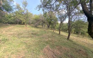CASA 3 CAMERE TEREN 7770 MP BOTENI ARGEȘ - Poză 3