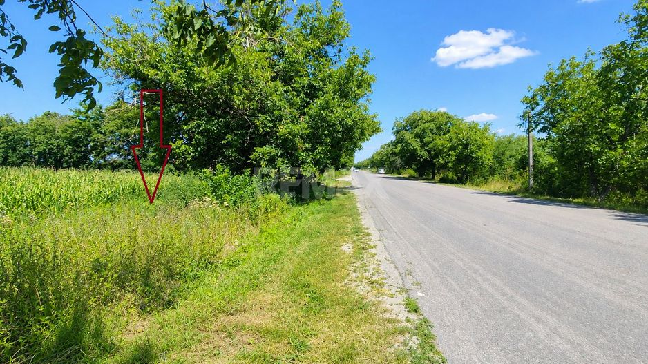 Teren pentru construcții – 24 ari | Prima linie | Chetrosu, Anenii Noi - Poză 7