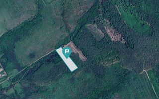 Pădure de foioase – Dorgoş, judeţul Arad - Poză 1