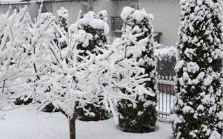 Casa de Vanzare | Individuala | 5 Camere |  184 MPU | Sura Mare - Poză 30