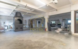 Hala industriala de 4.100mp | Giarmata - Poză 5