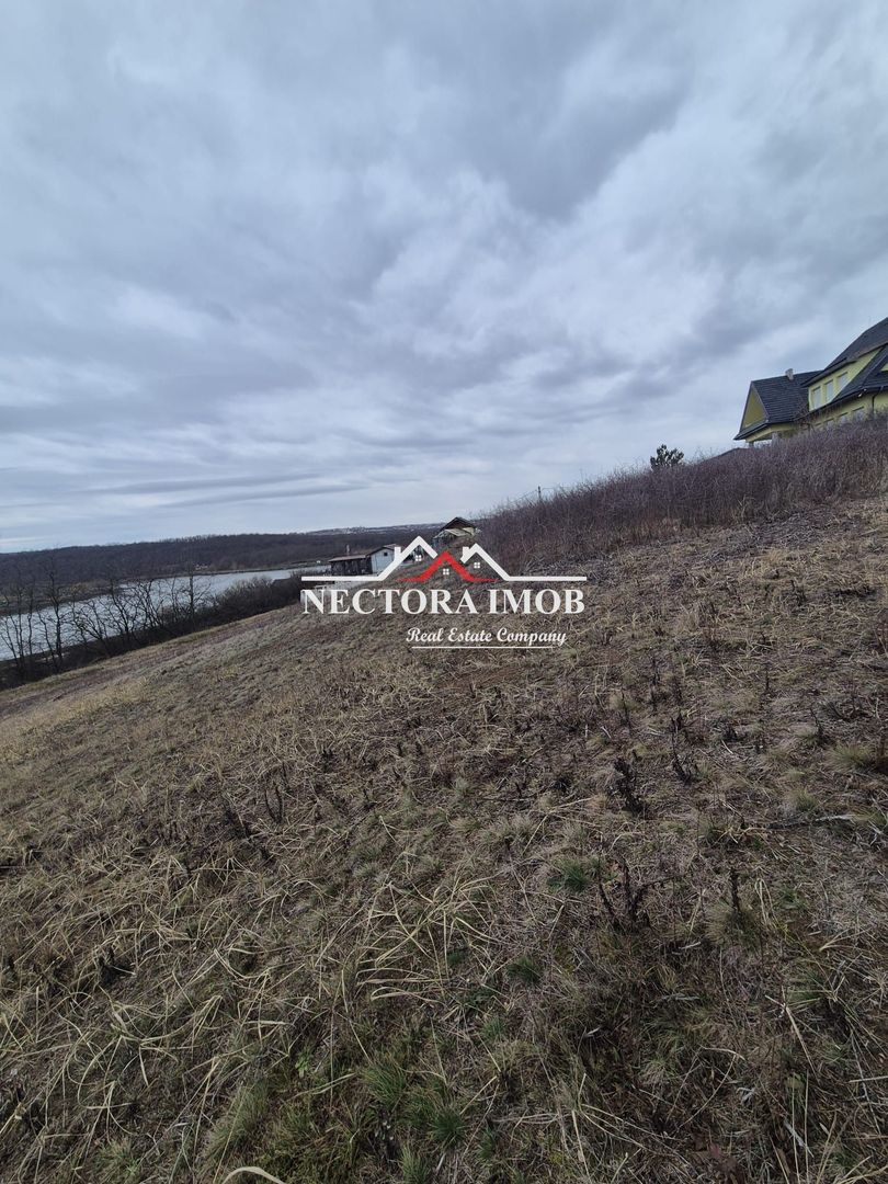 NECTORA IMOB-Teren Intravilan Zona Paleu, 589 mp, Vedere LAC,Utilitati - Poză 3