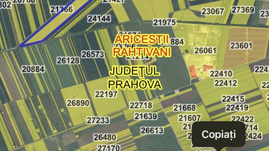 Teren 10 hectare pretabil pt panouri solare-Aricesti Rahtivani - Poză 2
