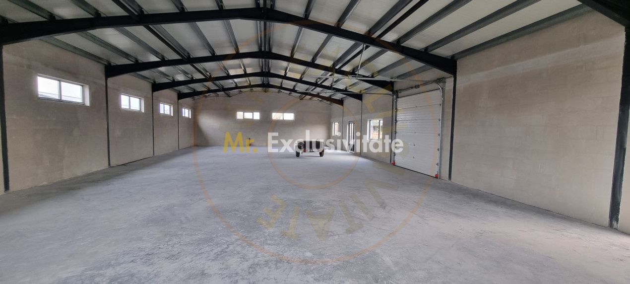 Inchiriere Hală Producție/Depozitare 300 mp, Teren 1791 mp - Carei - Poză 6