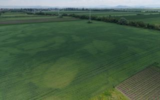 Teren intravilan 50000 mp, cu PUZ, Aprobat - zona Halchiu/Codlea - Poză 12