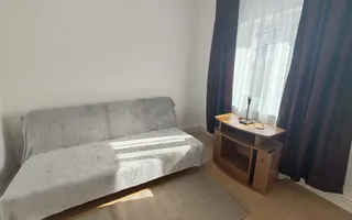 Lunca Cetatuii- Editurii- Casa 4 camere -CURTE 1000 MP ! - Poză 13