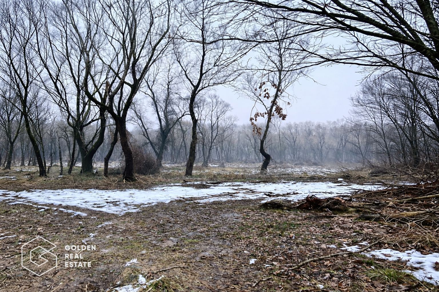 Teren 3.900 mp, Lipova – Șoimoș - Poză 3